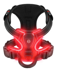 Villabliss light up dog harness night mode view for safer night walks