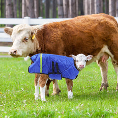 VILLCASE winter coat materials oilcloth silk cotton shows durability and warmth