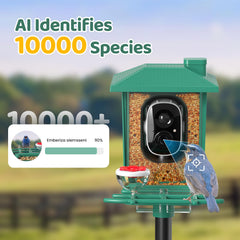 VIMKIM Two-Way Talk enables real-time chirps and gentle communication with visiting birds.