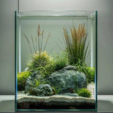 Vimvins front view 5-gallon glass tank provides clear viewing for betta and plants.