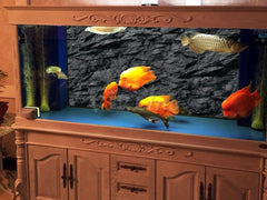 VIP LINE 3D black stone texture poster fits any aquarium and installs easily.