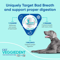 Virbac VeggieDent FR3SH chew in hand emphasizes breath-freshening potential.