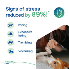 Virbac ZENIDOG collar on a dog's neck illustrating long lasting calming pheromones.