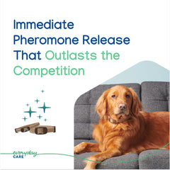 Virbac ZENIDOG collar worn on a dog shows steady pheromone release for calm moments.