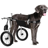 Virbraroo dog wheelchair adjustable-frame provides hind-leg support for recovery and mobility