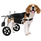 Virbraroo dog wheelchair assembly demonstrates quick setup for easy use.