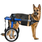 Virbraroo dog wheelchair back-legs with all-terrain wheels for smooth mobility on varied surfaces.