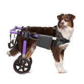 Virbraroo dog wheelchair back-legs side view demonstrates smooth mobility on grass or pavement.