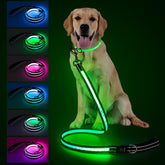 Visinite 4ft LED dog leash with light on for night walks