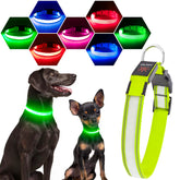 Visinite light up dog collar offers 360° visibility for safer night walks