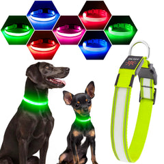 Visinite light up dog collar offers 360° visibility for safer night walks