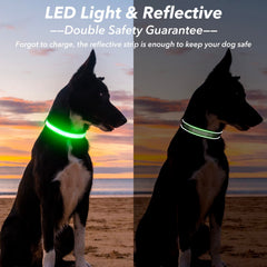 Visinite light up dog collar size options ensure a secure fit for all breeds