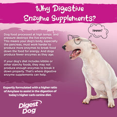 Vital Planet Digest Dog beef powder pour highlights easy sprinkling for meals