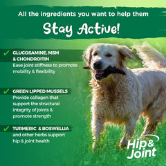 Vital Planet Hip and Joint Soft Chews dog-treat closeup demonstrates tasty bacon flavor
