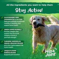 Vital Planet soft chews closeup features tasty beef flavor for joint support.