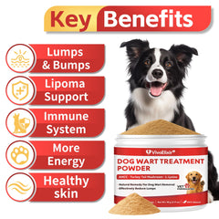 VivaElixir dog turkey-tail powder image demonstrates easy-dispense packaging for consistent immune support.