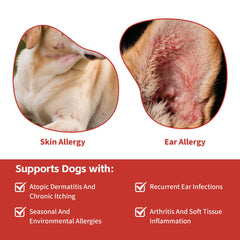 VivaElixir immune-support image conveys antioxidant protection for long-term wellness.