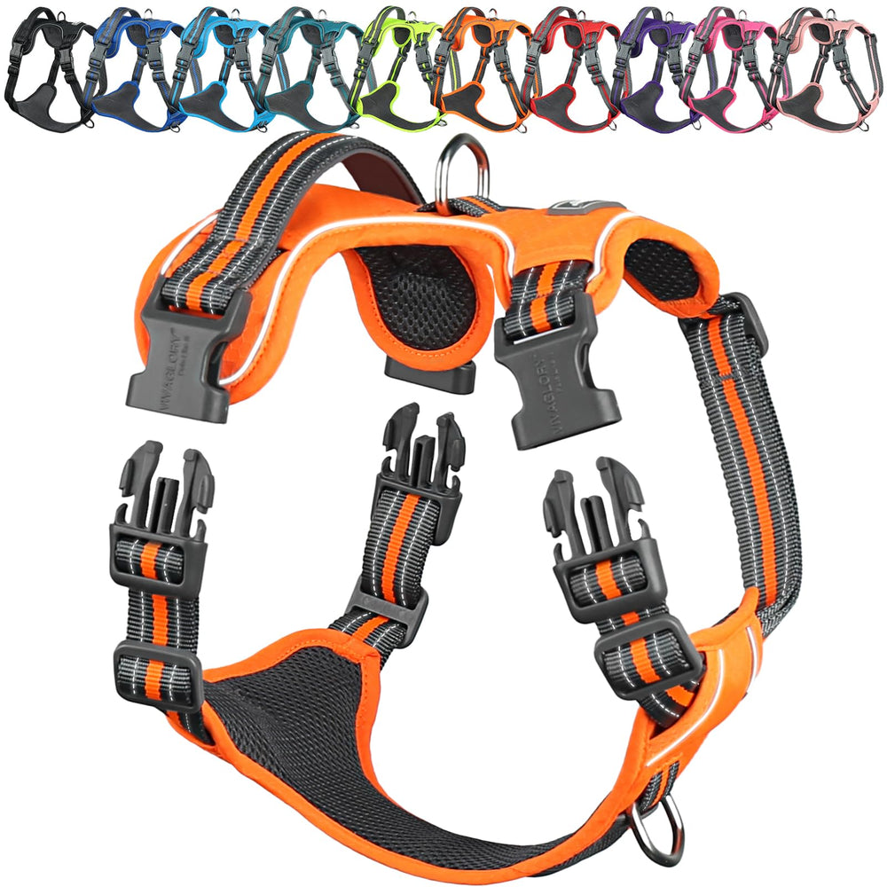VIVAGLORY Easewalk front clip harness redirects pulling during training walks.