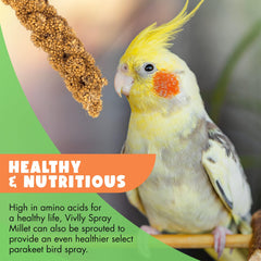 Vivlly non-GMO millet origin field highlights wholesome ingredients.