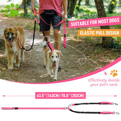 Vizbrite LED double dog leash with bungee extension absorbs shocks for comfortable handling