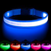 Vizpet collar LED ajustable para perros, ideal para paseos nocturnos.
