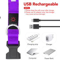 VIZPET collar LED morado, alta visibilidad en oscuridad para paseos nocturnos.