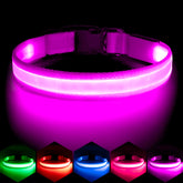 VIZPET collar LED morado, vista frontal iluminada para mayor visibilidad.