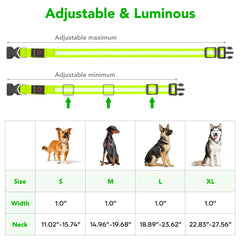 Vizpet collar LED ligero con acolchado suave para paseos largos.