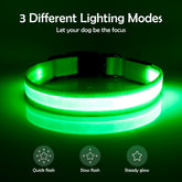 Vizpet collar LED para perro recargable USB, ahorro de pilas.