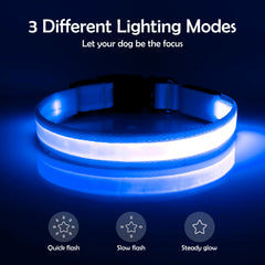 Vizpet collar LED recargable, carga USB en coche o portátil para mayor comodidad.