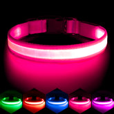 Collar Vizpet LED rosa en perro para paseos nocturnos con alta visibilidad.
