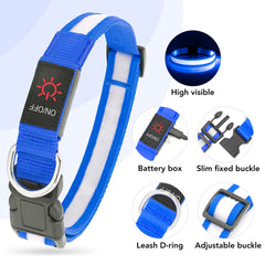 Vizpet collar LED con tres modos de iluminación para cualquier situación.