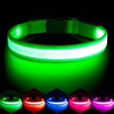 Vizpet collar LED: visualización nocturna para paseos seguros.