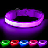 Vizpet collar luz para perros pequeños, con hebilla ajustable y visibilidad nocturna.
