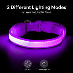 Vizpet collar luz con modo parpadeo rápido, ideal para salidas nocturnas seguras.