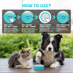Voice Recording Button dog-training setup demonstrates easy press-to-record interaction