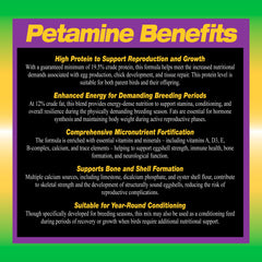 Volkman Petamine Breeder Formula 2lb eggs-shell closeup—helps promote strong eggshells for breeding.