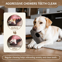 VOXGET freeze tray with blocks demonstrates long-lasting lickable rewards during play