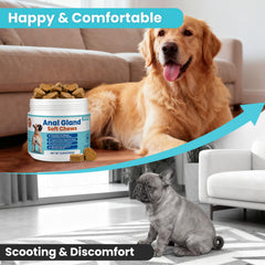 VUN Dog Anal Gland Chews beside a dog bowl illustrating scoot relief and digestion support.