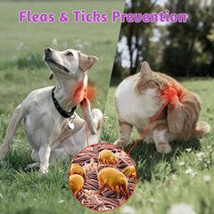 VUN dog flea tick chews pack demonstrates convenient administration