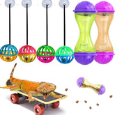 VZqola patineta dragón: estímulo de juego y exploración