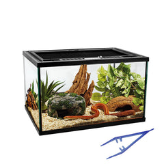 Waazoorep reptile glass tank 360° view enabling comprehensive pet observation.