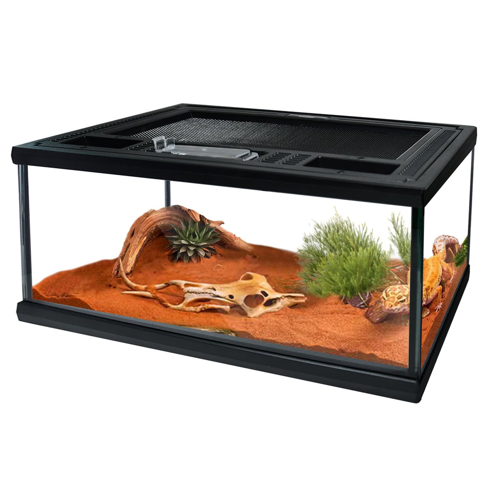 Waazoorep reptile glass terrarium 12x8x6 front view for full visibility and monitoring.