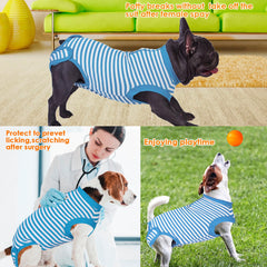 Wabdhaly dog-cone-alternative feature shows comfortable, bite-safe design during healing.