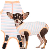 Wabdhaly recovery suit for dog cone alternative close-up on a calm post-op fit