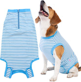 Wabdhaly recovery suit for dogs on a bed offers post-surgery comfort