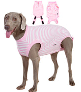 Wabdhaly recovery suit zipper closeup shows quiet secure fastening for post-surgery dogs