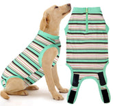 Wabdhaly recovery suit with zipper enables easy on/off for dogs.