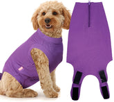 Wabdhaly recovery suit on dog after surgery provides anti-lick protection.