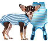 Wabdhaly recovery suit zipper-closure on a small dog for easy post-surgery wear.